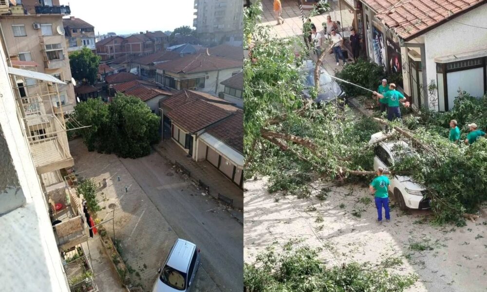 NPK Tetova nis aksionin për larjen e kontejnerëve dhe pastrimin e hapësirave përreth